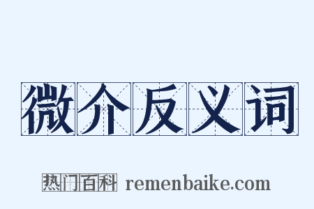 微介反义词是什么意思的图片